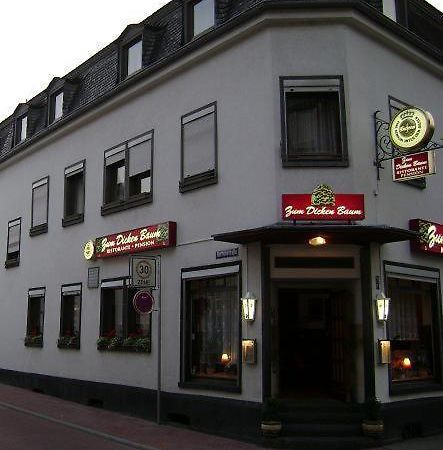 Hotel Zum Dicken Baum ماين المظهر الخارجي الصورة